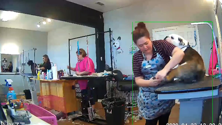 Σκύλος vs Groomer