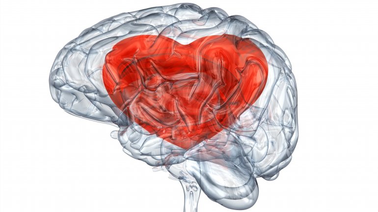 Τι έχει βρει η νευροεπιστήμη για τη ρομαντική αγάπη – Λειτουργεί σαν εθισμός