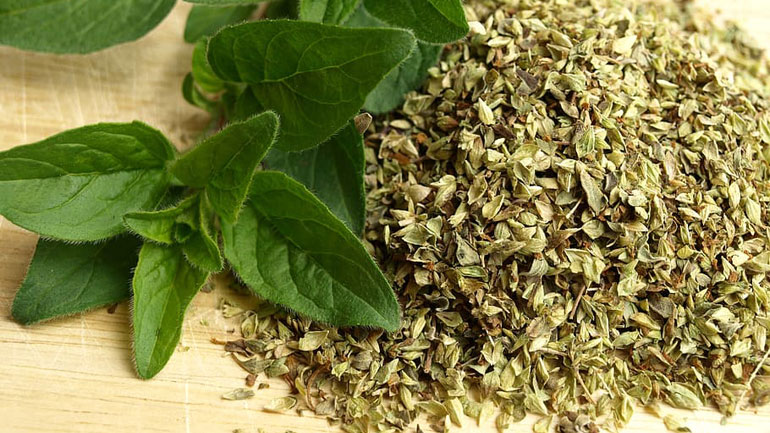 Ρίγανη: Ένα άριστο βότανο που προστατεύει τον οργανισμό μας