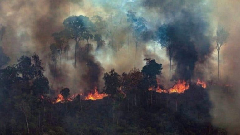 Καλά νέα για τον Αμαζόνιο: Ο Μπολσονάρου απαγόρευσε την καύση του για… 120 μέρες