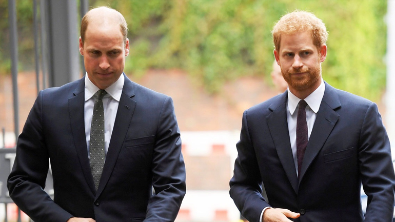Harry και William χωρίζουν τα χρήματα από τον οργανισμό που ίδρυσαν προς τιμήν της μητέρας τους