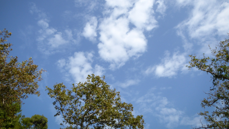 Ο καιρός σήμερα