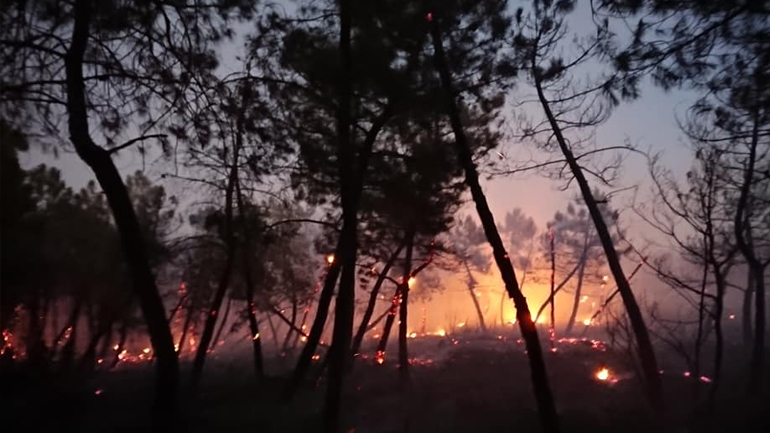Ειδικό κλιμάκιο από την Αθήνα στις Σάπες για την διερεύνηση των αιτίων της πυρκαγιάς