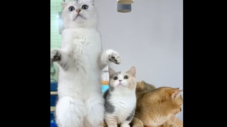 Όταν η προσοχή σου αποσπάται υπερβολικά εύκολα…