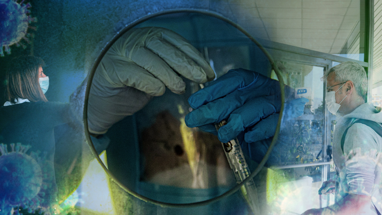 Καταμετρήθηκαν 31 νέα κρούσματα κορωνοϊού