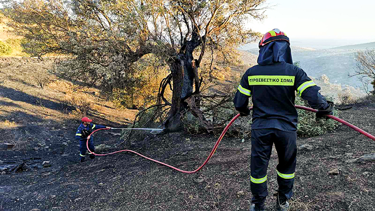 Σύλληψη ατόμου ως υπαίτιου πρόκλησης εμπρησμού από αμέλεια στην Κέρκυρα