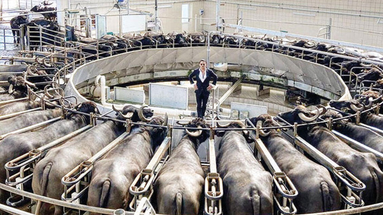 Θύελλα αντιδράσεων με βίντεο του Salt Bae που παριστάνει τον μαέστρο σε σφαγείο