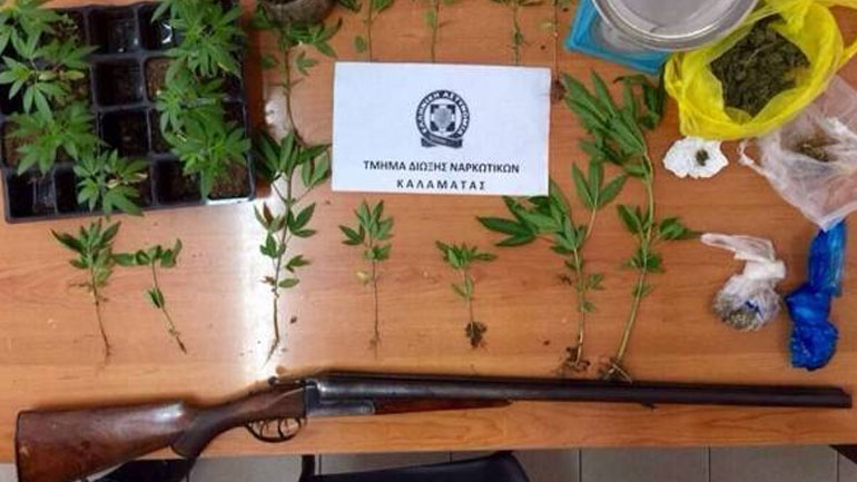Καλαμάτα: Εξαρθρώθηκαν εγκληματικές οργανώσεις που καλλιεργούσαν και διακινούσαν ναρκωτικά
