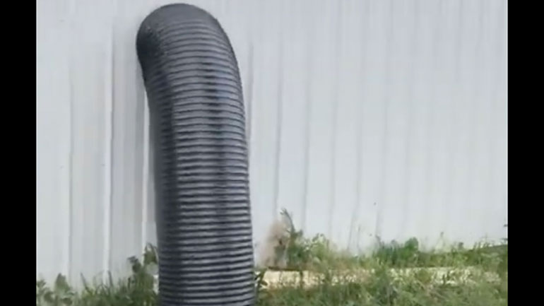 Γρήγορο καμουφλάζ