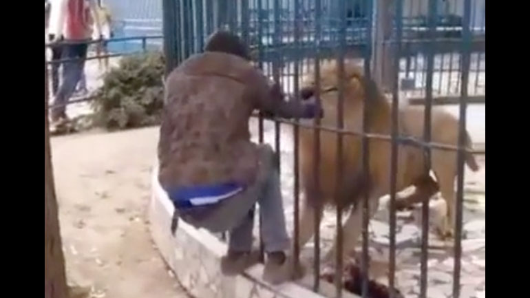 Λιοντάρι δαγκώνει το χέρι ενός άνδρα