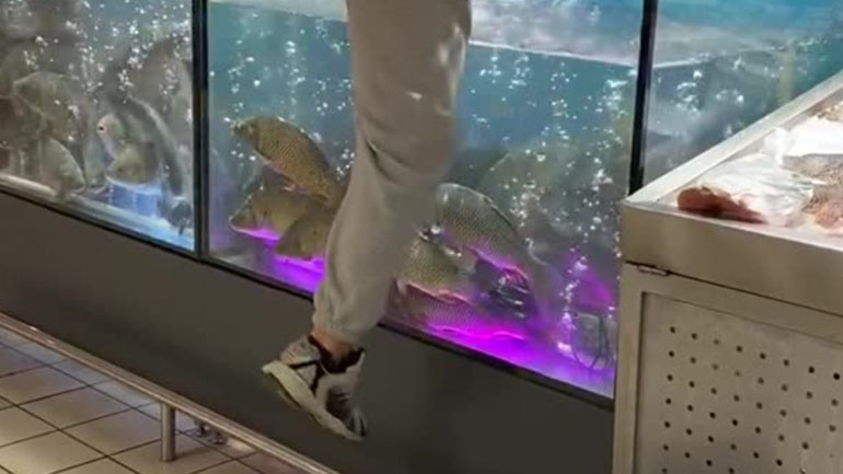 Πέταξε το δαχτυλίδι αρραβώνων σε ενυδρείο