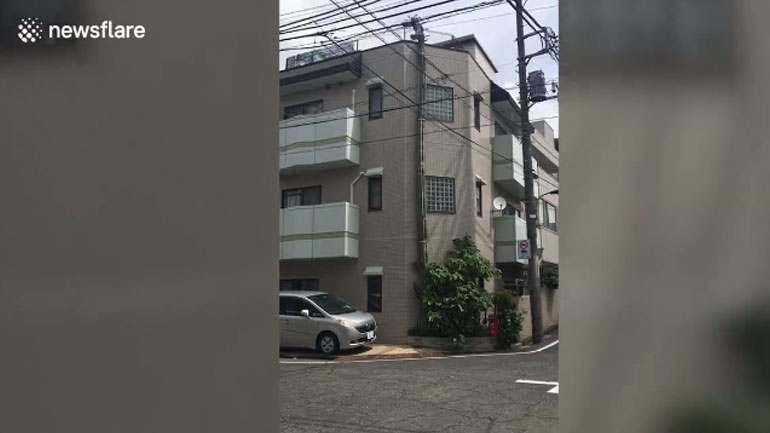 Ένας κάκτος διαφορετικός από τους άλλους