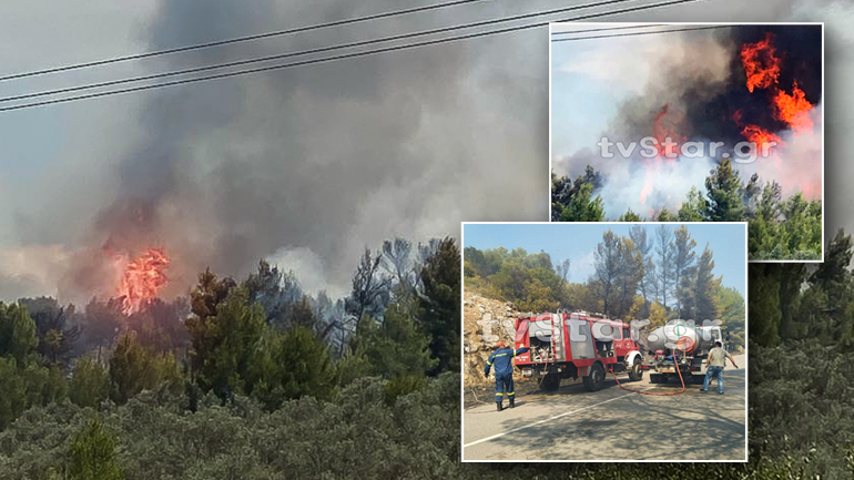 Μάχη με τις φλόγες στον Θεολόγο