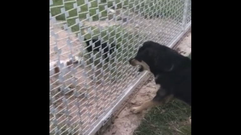 Μισητοί εχθροί