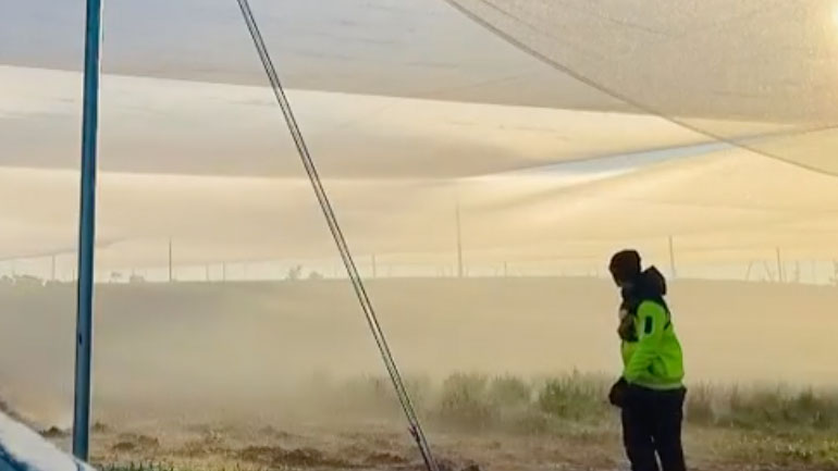 Τεχνική ποτίσματος τις πρωινές ώρες