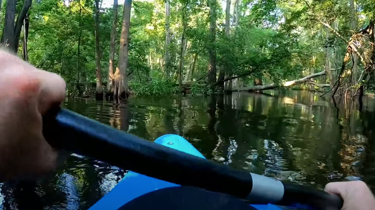 Άνδρας δέχεται επίθεση από αλιγάτορα