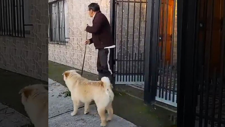 Ο κουτσομπόλης της γειτονιάς