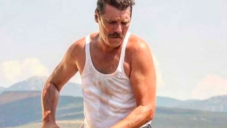 Άγριες Μέλισσες: Το συγκλονιστικό φινάλε της επιτυχημένης σειράς