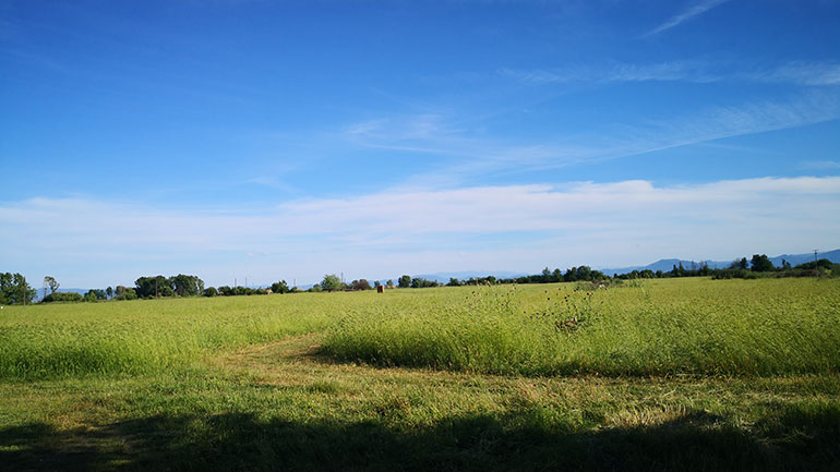 Πρόβλημα διάβρωσης αντιμετωπίζουν εδάφη στη Θεσσαλία