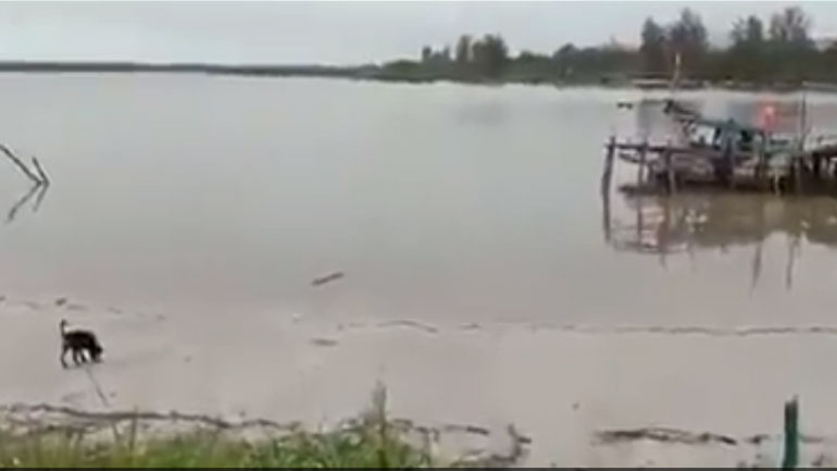 Την γλίτωσε στο… τσακ