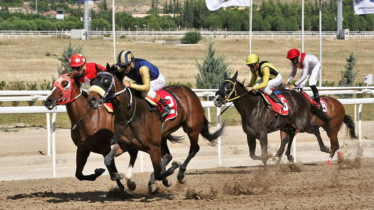 Markopoulo Park: Δέκα καθαρόαιμοι ίπποι διεκδικούν το Κύπελλο Ηνιόχου