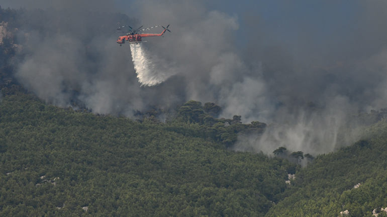 Φωτιά σε δασική έκταση στην Κεφαλλονιά – Ισχυροί άνεμοι πνέουν στην περιοχή
