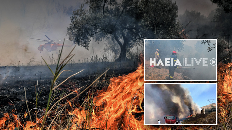 Οριοθετήθηκε η πυρκαγιά στην Ηλεία – Καλύτερη η εικόνα στην Άνδρο