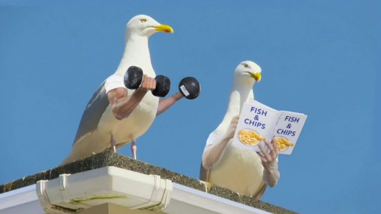 Πουλιά με χέρια