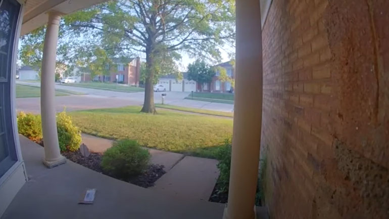 Mυρμήγκια κλέβουν αλληλογραφία