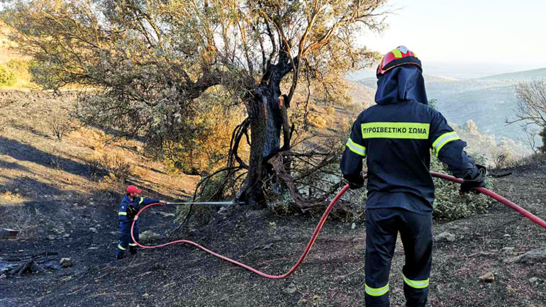 Φωτιά στην Άνδρο
