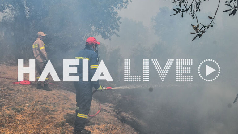 Πυρκαγιά σε αγροτοδασική έκταση στην Ηλεία