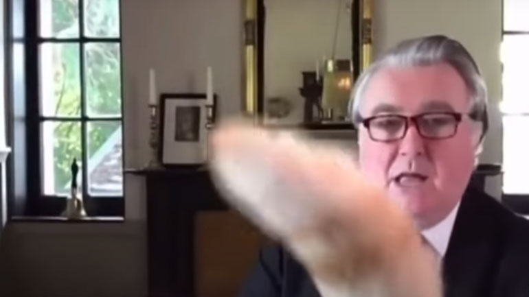 Γάτος διακόπτει meeting του βρετανικού κοινοβουλίου