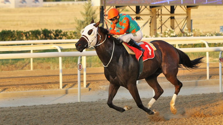 Markopoulo Park: Τρία τζακ ποτ σε ΣΚΟΡ 6, ΣΚΟΡ 4 και Σύνθετο Δίδυμο