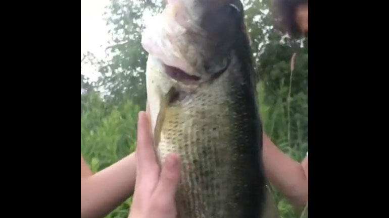 Γρήγορη απόδραση