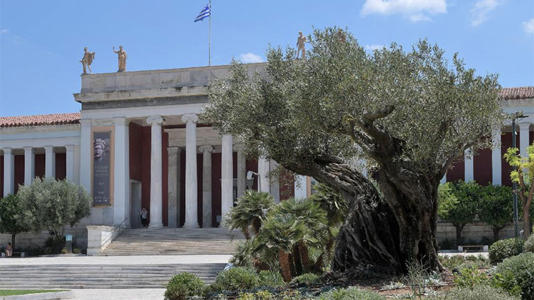 Ο νέος αναβαθμισμένος κήπος του Εθνικού Αρχαιολογικού Μουσείου