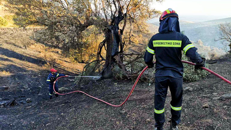 Πάτρα: Υπό μερικό έλεγχο η φωτιά στην περιοχή της Φιγαλείας, στη νότια Ηλεία