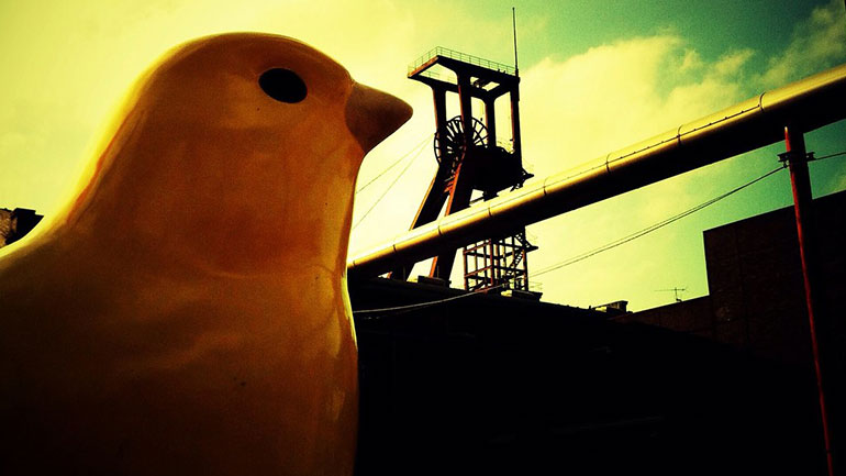 Γιατί η στυτική δυσλειτουργία αποκαλείται «καναρίνι σε ορυχείο»;