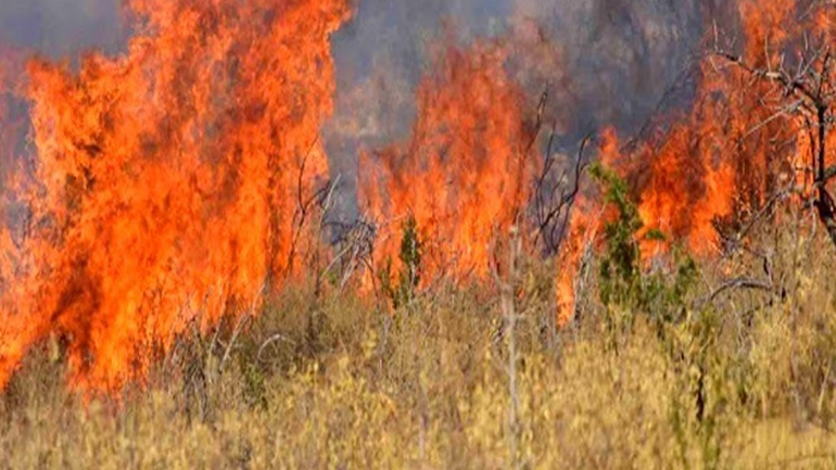 Σε εξέλιξη μεγάλη πυρκαγιά στην Αγία Ειρήνη Κεφαλονιάς