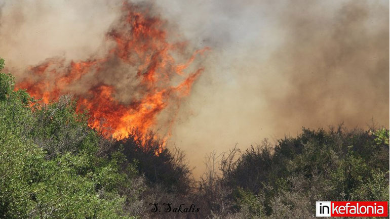 Κεφαλονιά: Σε ύφεση η πυρκαγιά που εκδηλώθηκε σε δασική έκταση στην περιοχή Κεραμειές