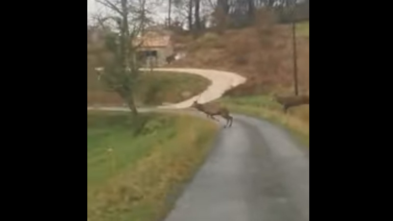 Ένας πολύ ενθουσιασμένος αυτοκινητιστής