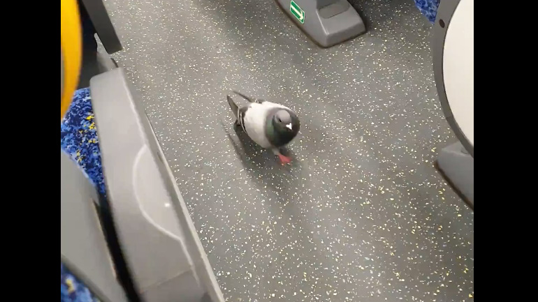 Όταν έχεις βαρεθεί να πετάς