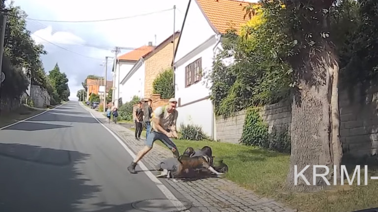 Άνδρας πυροβολεί για να σταματήσει την επίθεση σκύλου