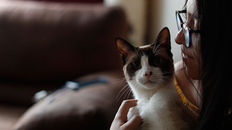 Βρετανία: Γάτος βρέθηκε θετικός στον κορωνοϊό