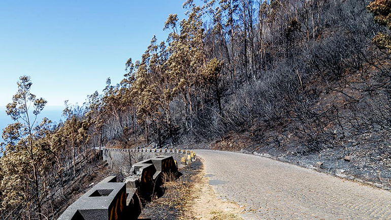Πορτογαλία: Πυροσβέστης σκοτώθηκε σε τροχαίο κατά την επιχείρηση κατάσβεσης δασικής πυρκαγιάς