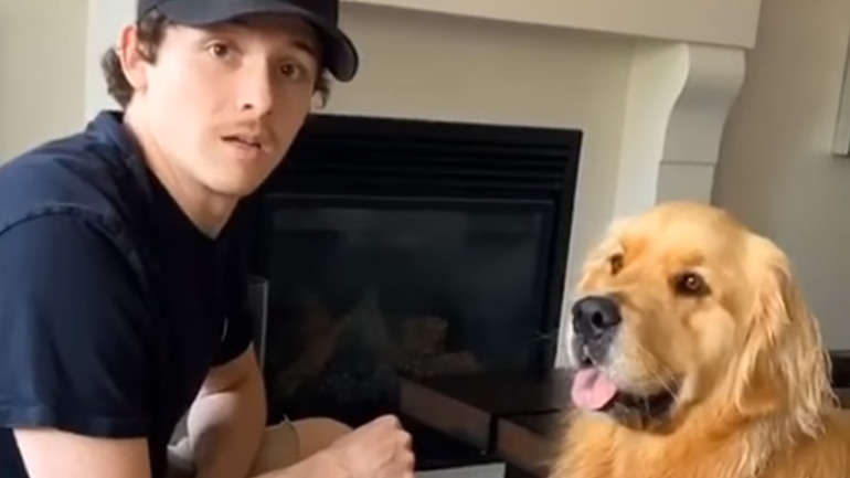 Σκύλος και ιδιοκτήτης συγχρονίζονται