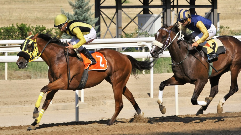 Markopoulo Park: Περισσότερα από 7.000 ευρώ για 7 νικητές στο ΣΚΟΡ 6