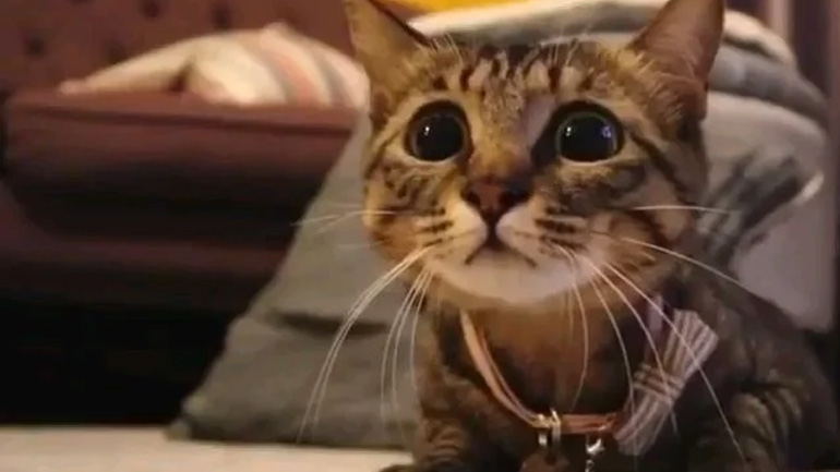 Ανάλυση στόχου