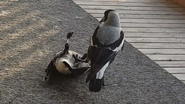 Τέρμα τα αστεία