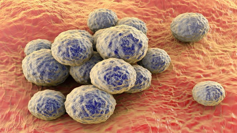 Γενετικές μεταλλάξεις βοηθούν τον χρυσίζοντα σταφυλόκοκκο να γίνει εξαιρετικά ανθεκτικός στα αντιβιοτικά