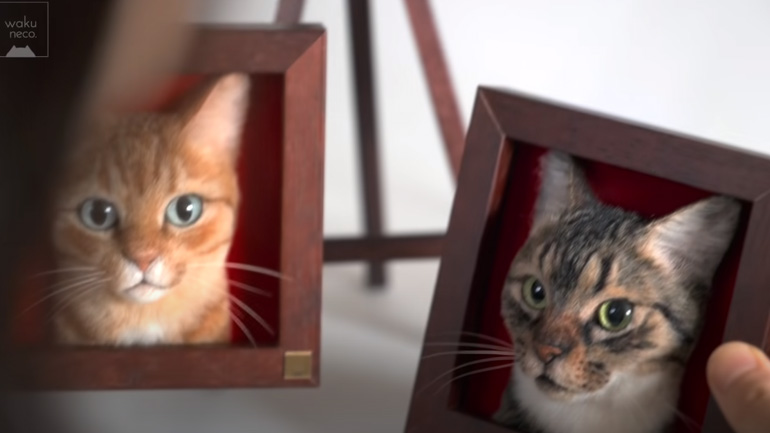 Πορτρέτα γατιών από τρίχες